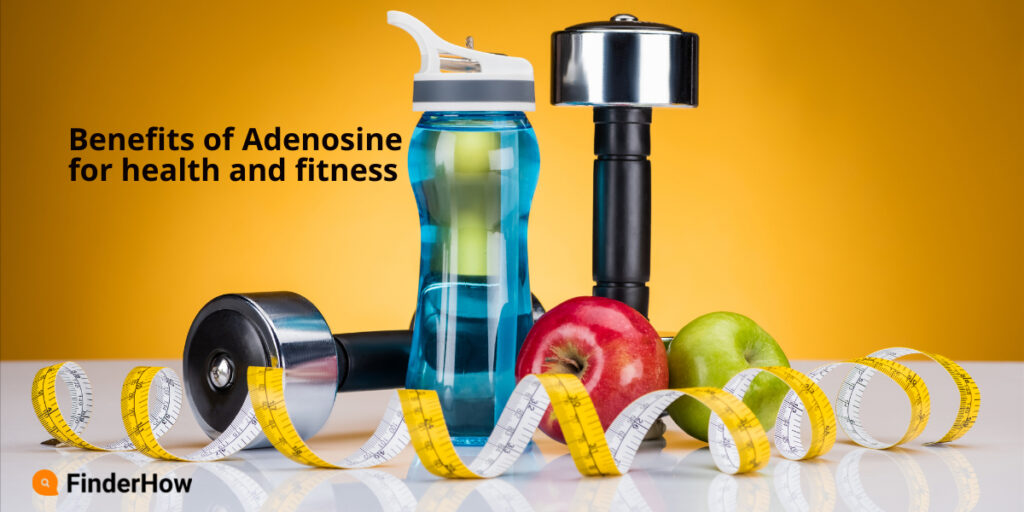 Benefits of Adenosine for health and fitness finderhow