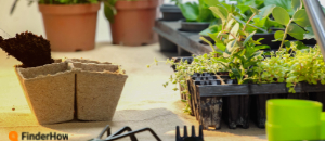 Gardening