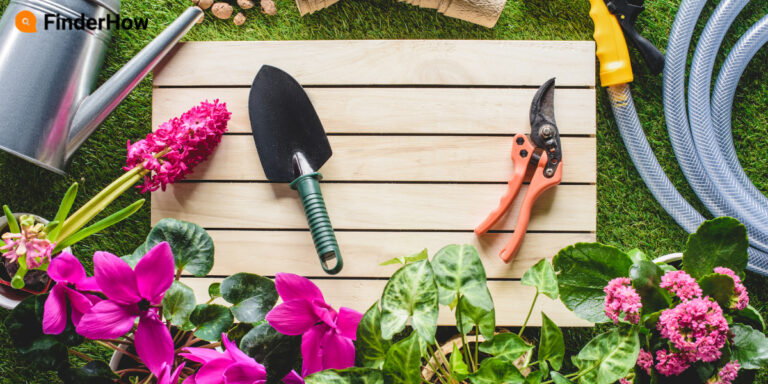 Gardening tips for beginners to have a beautiful garden